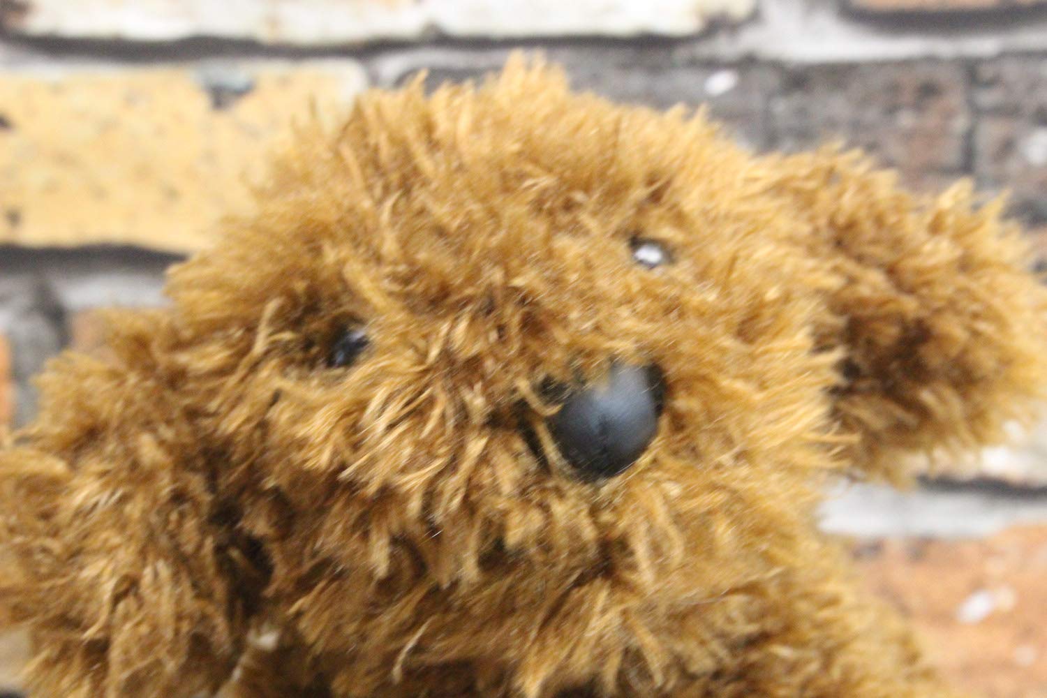 Amazon.co.jp: シナダ 豆子犬 プードル 9×2×15.5cm ぬいぐるみ グッズ